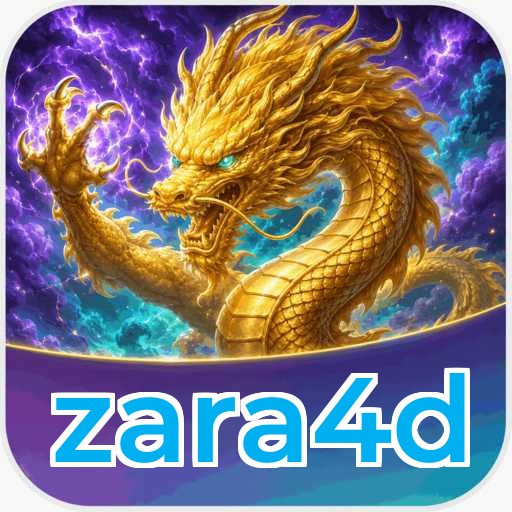 Audit profile zara4d